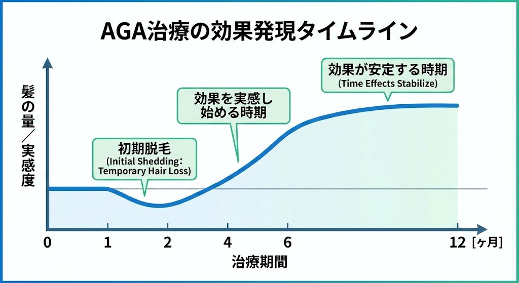 AGA治療の効果発現タイムライン図解｜初期脱毛から効果が安定するまでの期間の目安