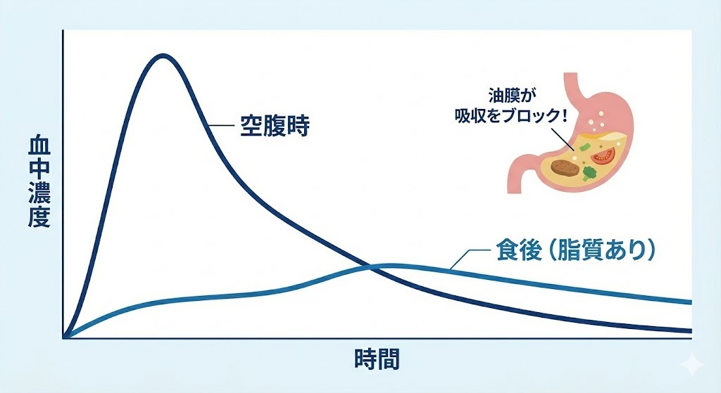 ED治療薬の血中濃度に対する食事の影響を示すグラフ。空腹時と比較して、食後（脂質あり）は吸収が阻害され血中濃度が上がりにくいことを説明するイメージ図。