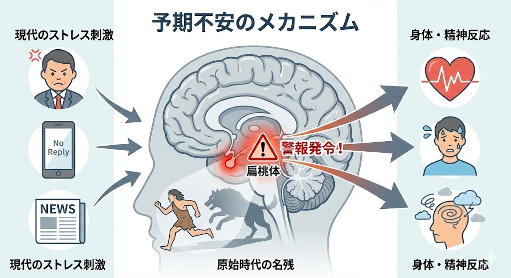 現代のストレス刺激が脳の扁桃体を過剰に刺激し、警報を発令させて身体や精神の不安反応を引き起こす「予期不安」のメカニズムを示す図解。