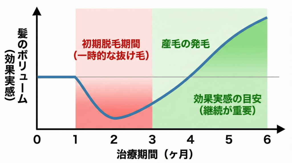 AGA治療の効果が出るまでの期間グラフ：初期脱毛から発毛実感までの6ヶ月間の推移