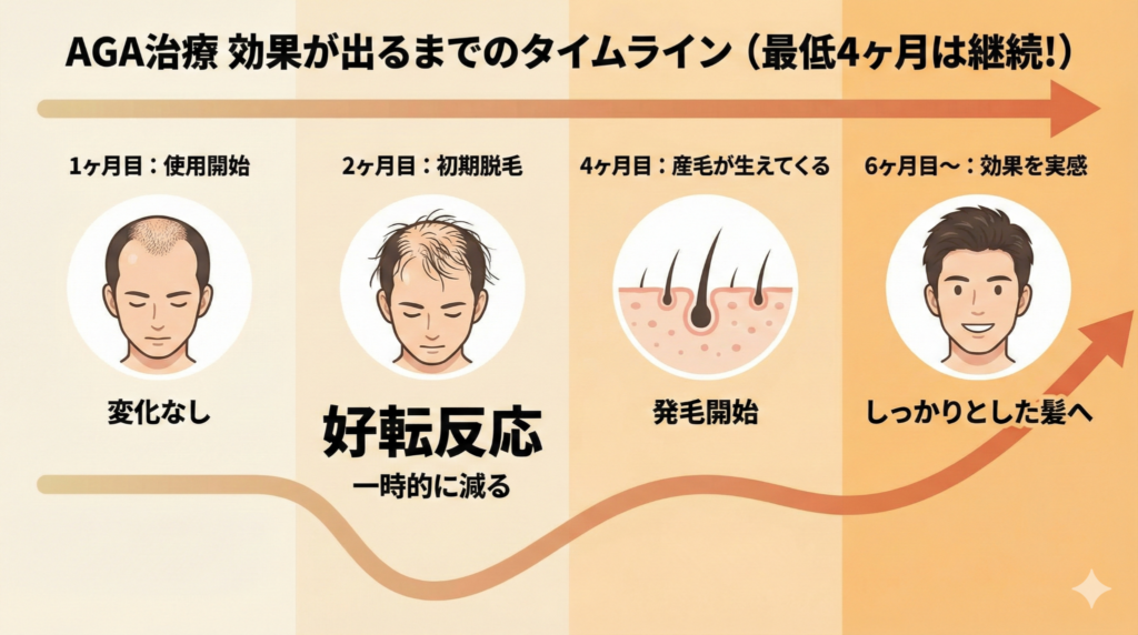AGA治療の効果が出るまでの期間と初期脱毛のタイムライン