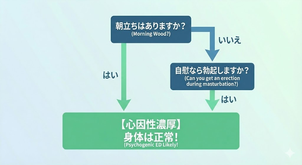 朝立ちや自慰での勃起の有無から、EDが心因性か器質性かを判断する簡易チェックフロー図
