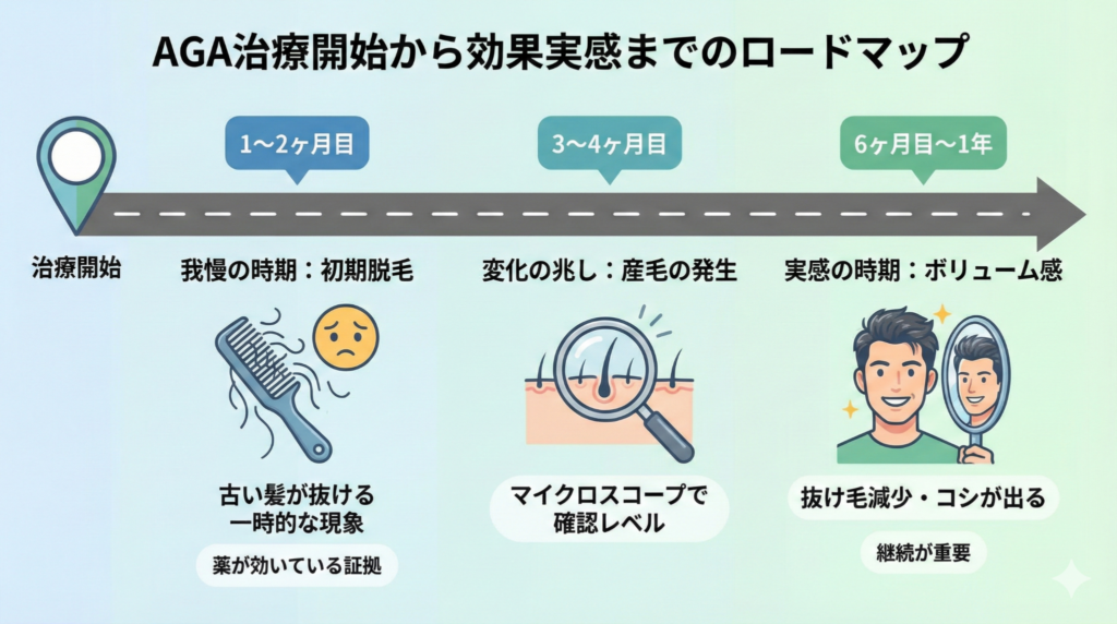 AGA治療開始から発毛効果を実感するまでの期間と経過のロードマップ図（初期脱毛から維持期まで）
