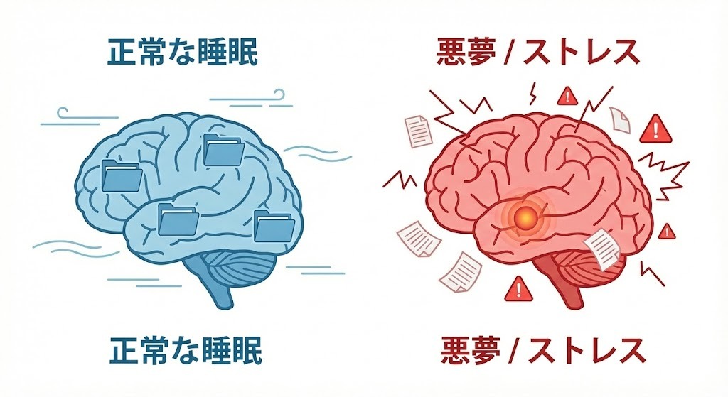 正常な睡眠時の脳と、ストレスや悪夢を見ているときの脳の状態を比較したイラスト