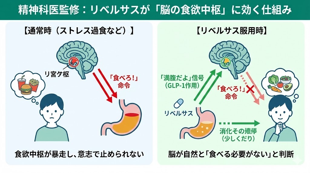 精神科医監修によるリベルサスの作用機序図解。通常時（ストレス過食）は脳の食欲中枢が暴走し「食べろ」と命令するが、リベルサス服用時はGLP-1作用により脳に「満腹だよ」という信号が送られ、自然と食欲が収まる様子を比較したイラスト。