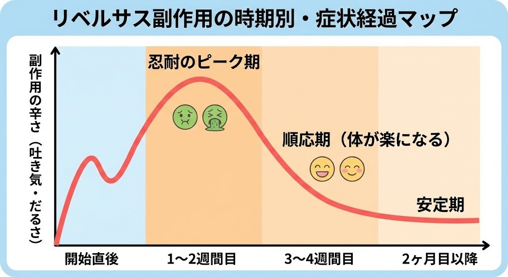 リベルサス副作用の時期別・症状経過マップ（グラフ）。服用開始から1〜2週間目が吐き気・だるさの「忍耐のピーク期」。3〜4週間目の「順応期」から体が楽になり、2ヶ月目以降は「安定期」に入ることを示す。