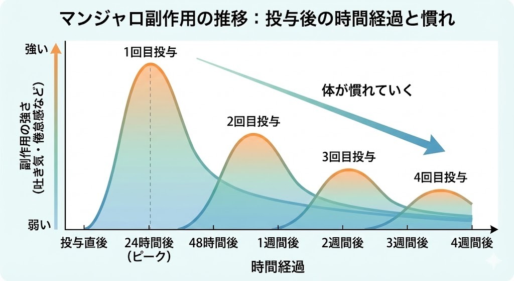 マンジャロの副作用（吐き気など）の強さが、投与後24時間でピークを迎え、その後、投与回数を重ねるごとに体が慣れて弱くなっていく様子を示した推移グラフ。