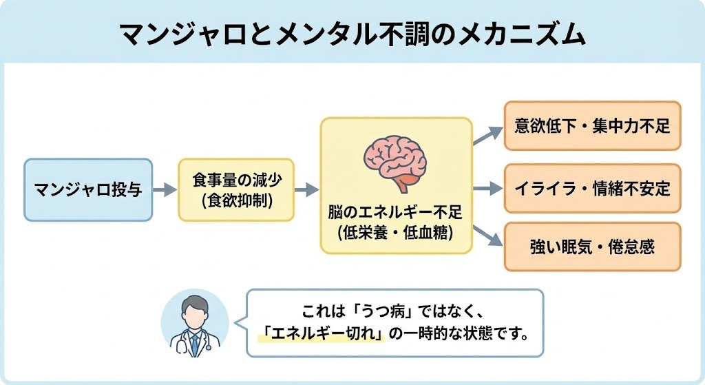 マンジャロによる食欲抑制が脳のエネルギー不足を招き、それが意欲低下やイライラ、強い眠気といったメンタル不調を引き起こすメカニズムを説明したフローチャート図。医師が「これはうつ病ではなくエネルギー切れの一時的な状態」と補足している。