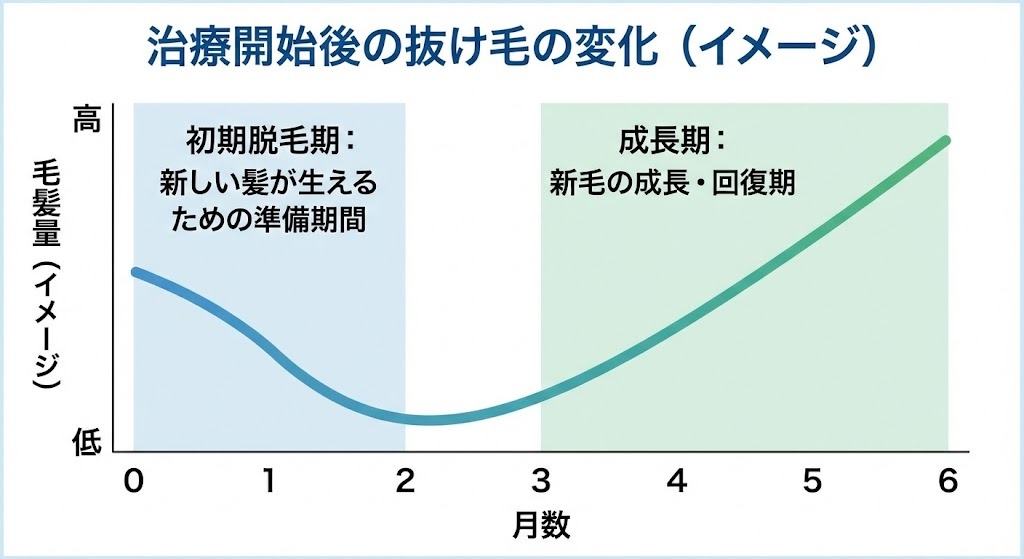 ザガーロ治療開始後に起こる初期脱毛と、その後に毛髪が回復・成長するV字回復の経過イメージ
