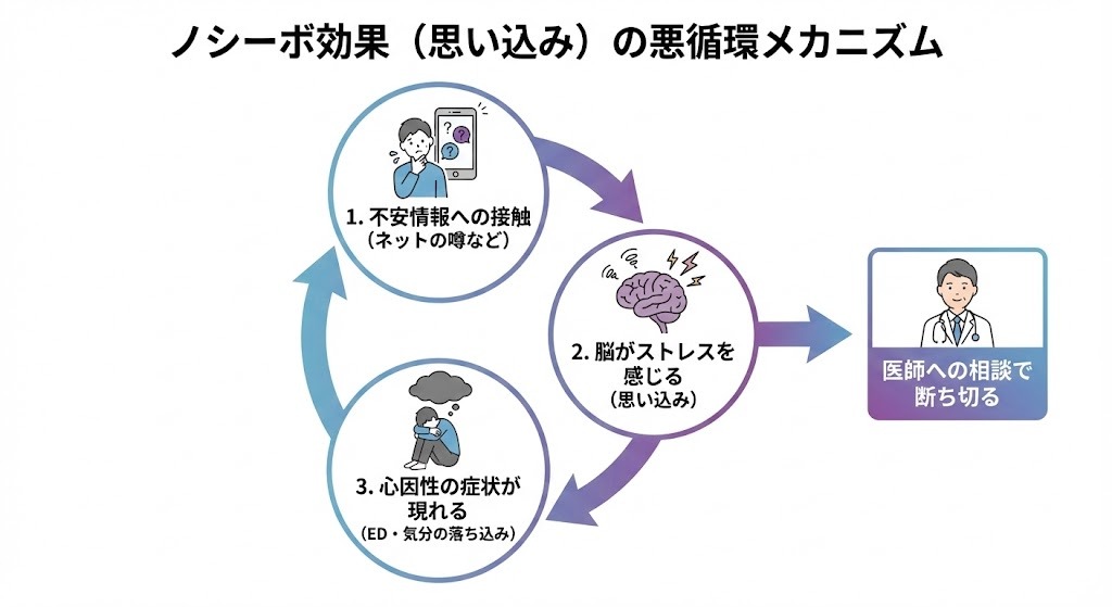 ノシーボ効果（思い込み）による悪循環のメカニズムを示す図。不安情報への接触→脳がストレスを感じる（思い込み）→心因性の症状が現れる（ED・気分の落ち込み）というサイクルが矢印で繋がっており、医師への相談でそのサイクルを断ち切ることができることが示されている。