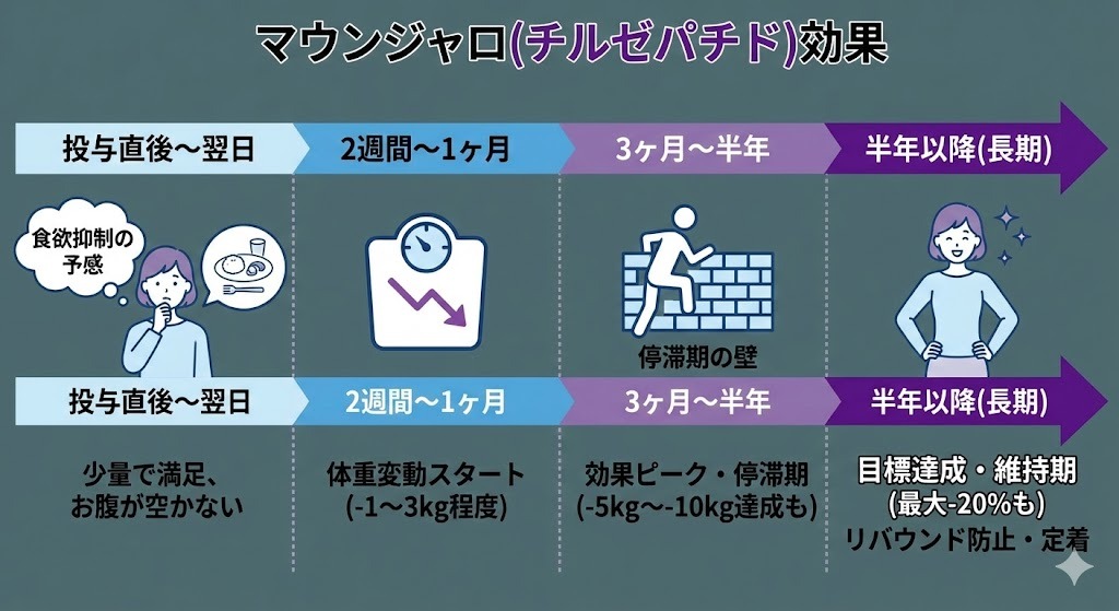 マンジャロ（チルゼパチド）投与後、投与直後から半年以降までの食欲変化、体重減少、停滞期、維持期の流れを示した効果発現タイムライン図