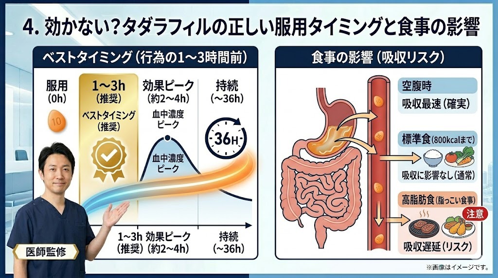 タダラフィルの正しい服用タイミングと食事の影響図。ベストタイミングタイムライン（1〜3時間前、36H持続）と空腹・標準・高脂肪食の吸収リスク。
