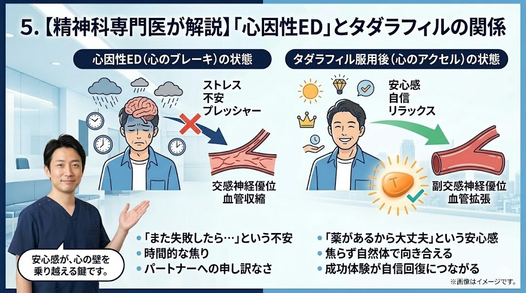 精神科専門医が解説する心因性EDとタダラフィルの関係。心のブレーキ（ストレス、不安）から、心のアクセル（安心感、成功体験）への自信回復図。