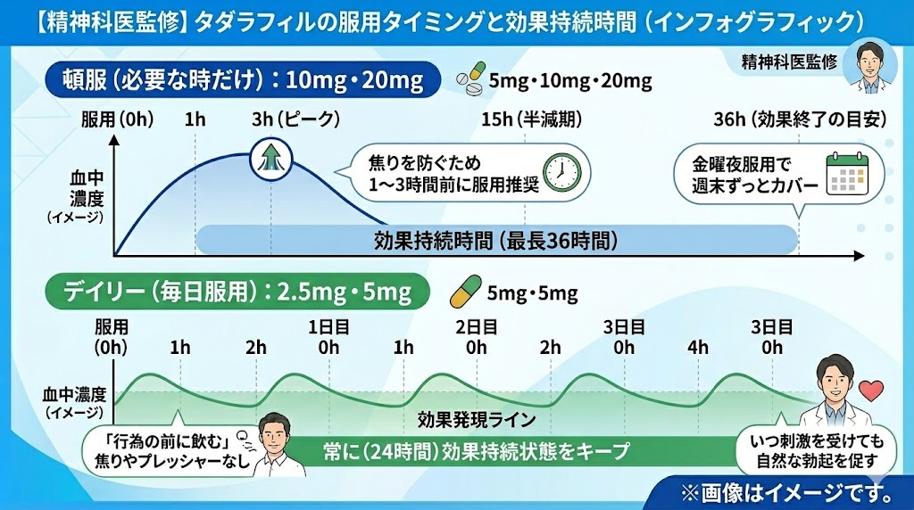 【精神科医監修】タダラフィルの服用タイミングと効果持続時間の図解インフォグラフィック。頓服（10mg・20mg）とデイリー（2.5mg・5mg）それぞれの血中濃度推移と効果持続時間の比較。