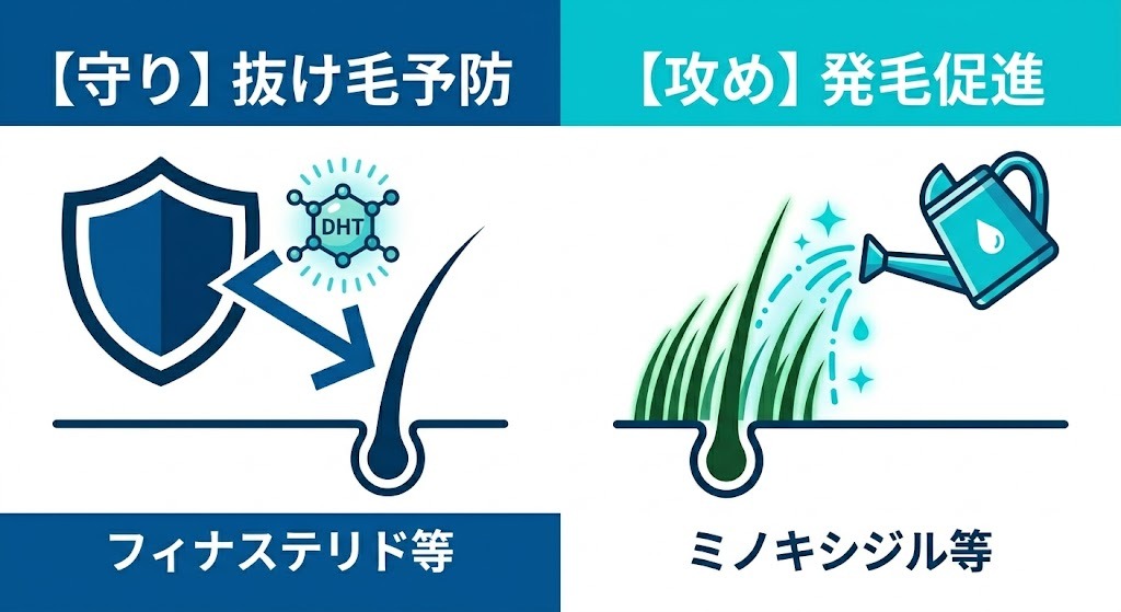 図解：AGA治療薬における守りの薬（抜け毛予防）と攻めの薬（発毛促進）の役割の違い